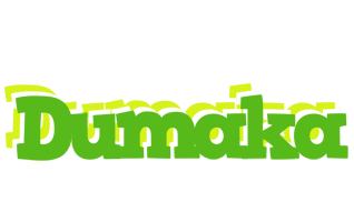 Dumaka picnic logo