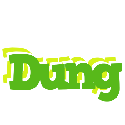 Dung picnic logo