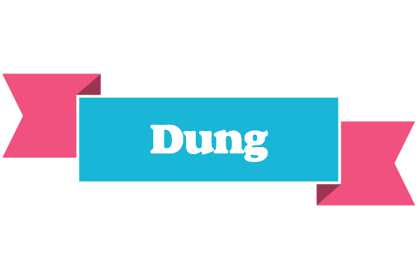 Dung today logo