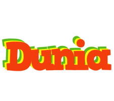 Dunia bbq logo