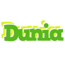 Dunia picnic logo