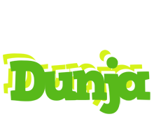 Dunja picnic logo