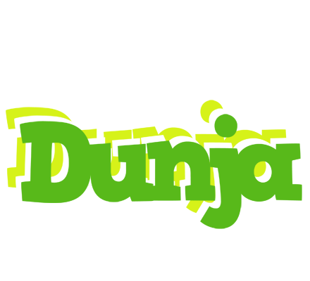 Dunja picnic logo