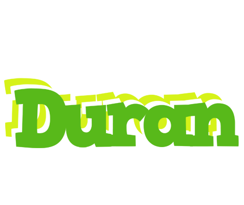 Duran picnic logo