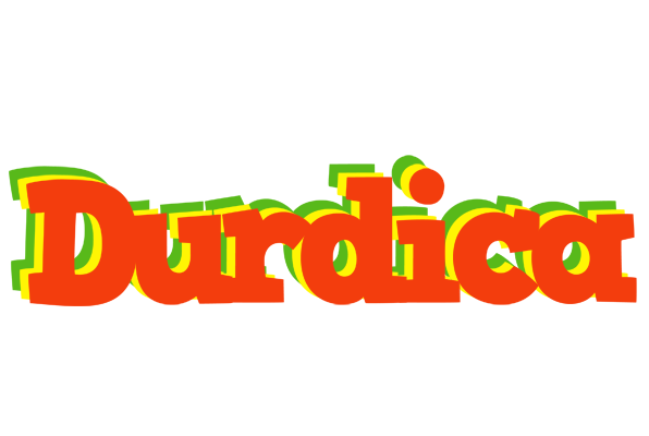 Durdica bbq logo