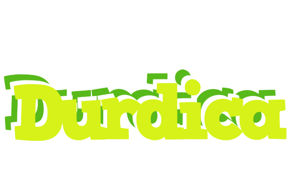 Durdica citrus logo