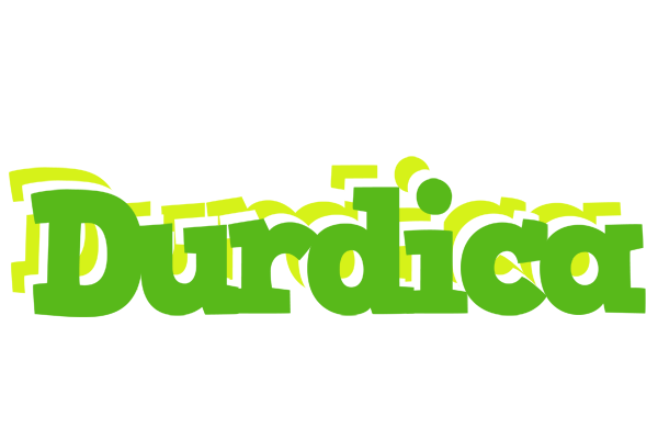 Durdica picnic logo
