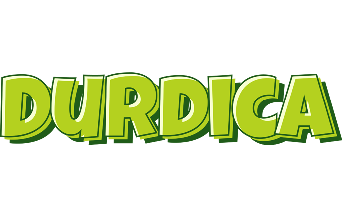 Durdica summer logo