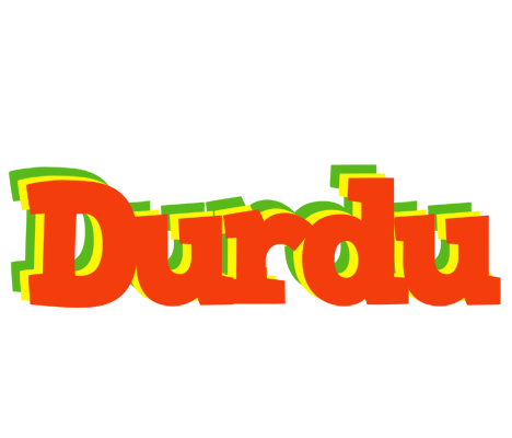 Durdu bbq logo