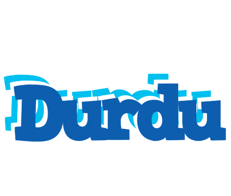 Durdu business logo