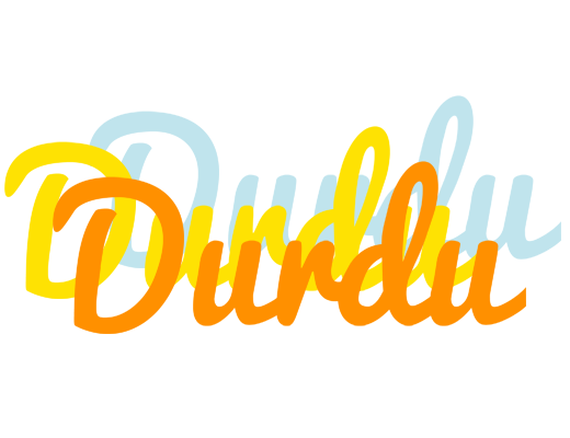 Durdu energy logo