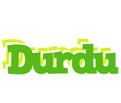 Durdu picnic logo