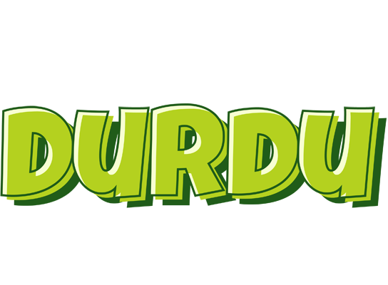 Durdu summer logo