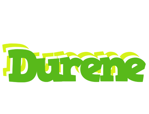Durene picnic logo