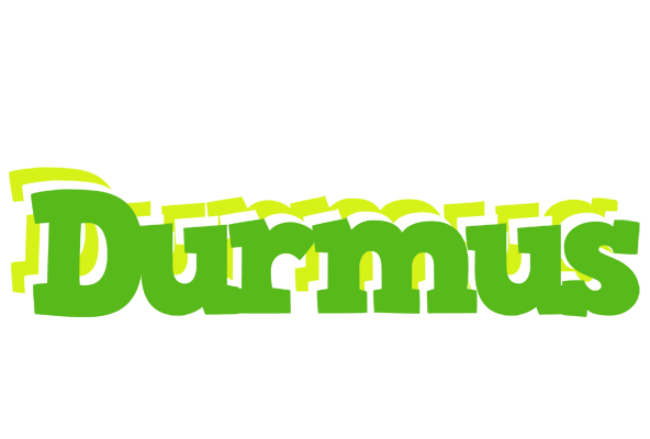 Durmus picnic logo