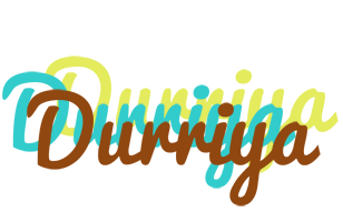 Durriya cupcake logo