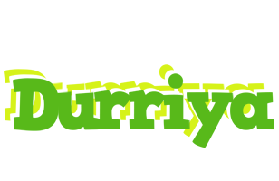 Durriya picnic logo