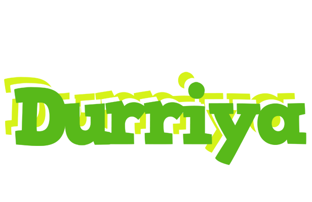 Durriya picnic logo