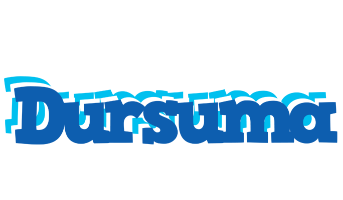 Dursuma business logo