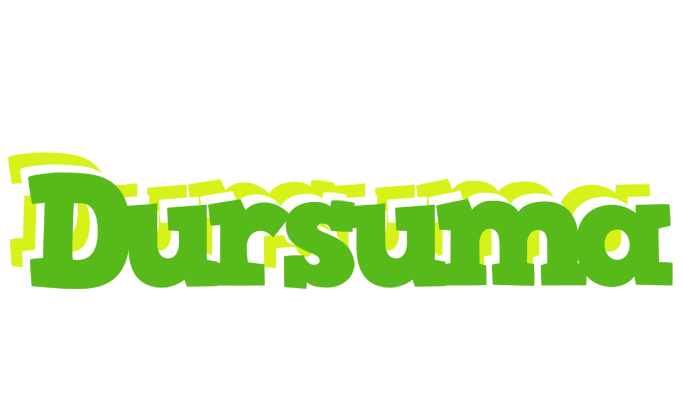 Dursuma picnic logo