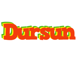 Dursun bbq logo
