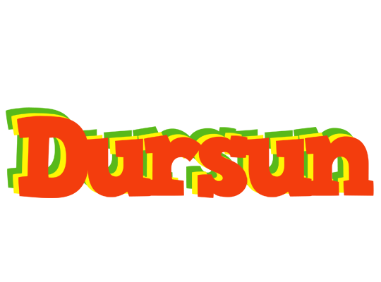 Dursun bbq logo
