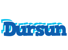 Dursun business logo