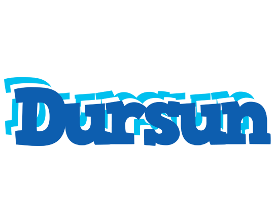 Dursun business logo