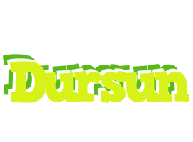 Dursun citrus logo
