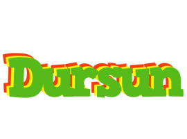 Dursun crocodile logo