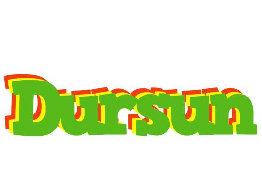 Dursun crocodile logo