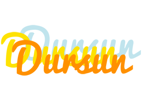 Dursun energy logo