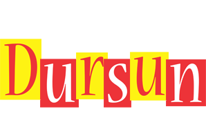 Dursun errors logo