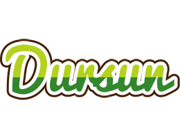 Dursun golfing logo