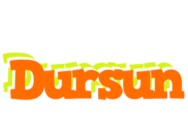 Dursun healthy logo