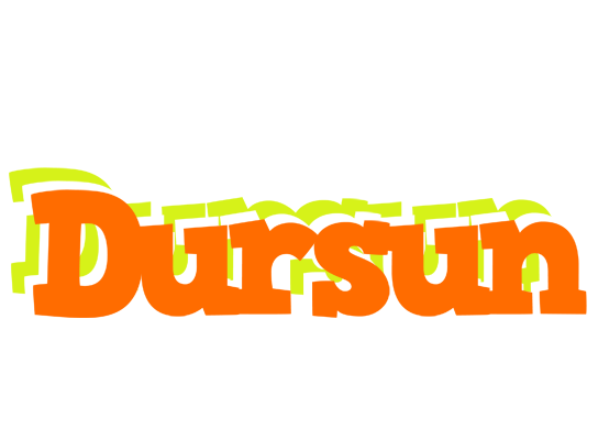 Dursun healthy logo