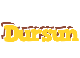 Dursun hotcup logo