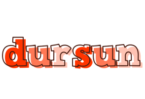 Dursun paint logo