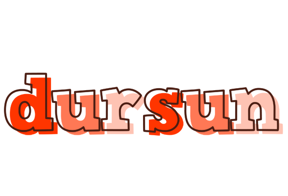 Dursun paint logo