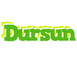 Dursun picnic logo