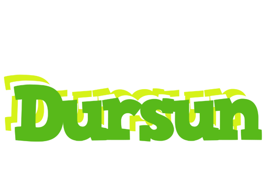 Dursun picnic logo