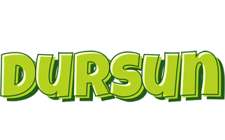 Dursun summer logo