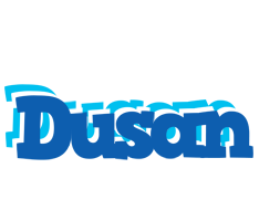 Dusan business logo