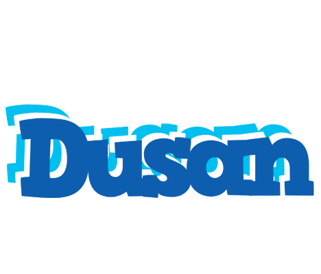 Dusan business logo