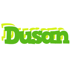 Dusan picnic logo