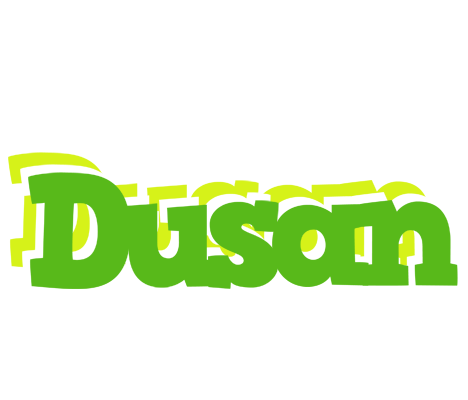 Dusan picnic logo