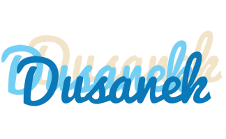 Dusanek breeze logo