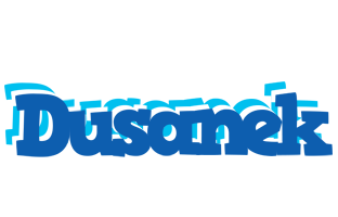 Dusanek business logo