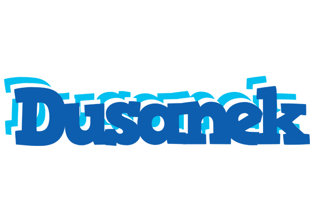 Dusanek business logo