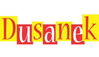 Dusanek errors logo